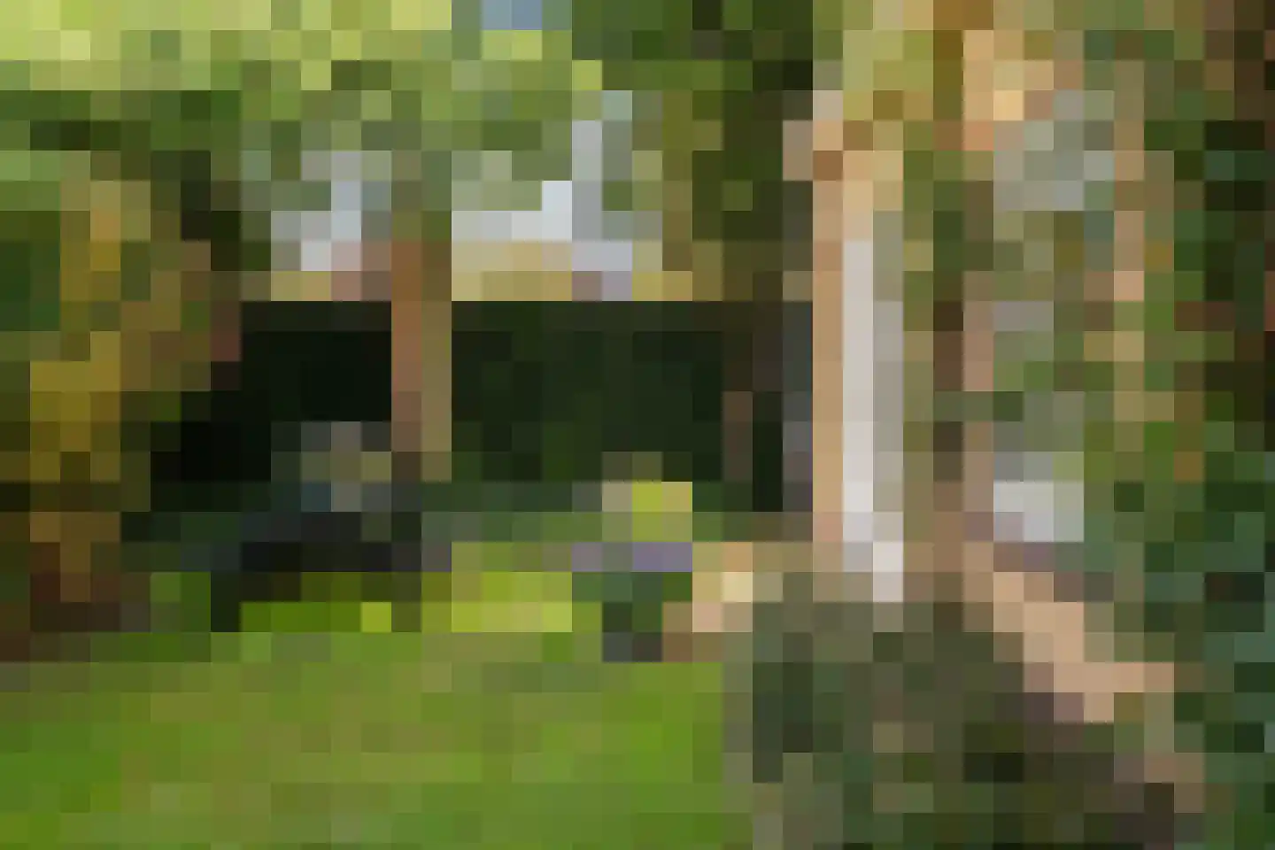 Rembrandtlaan 23 Loosdrecht thumbnail 10