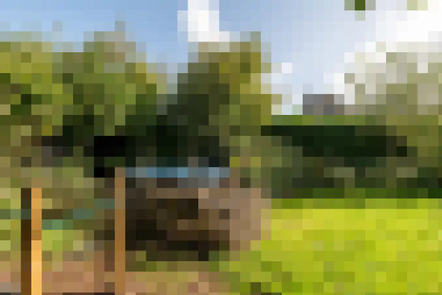 Rembrandtlaan 23 Loosdrecht thumbnail 53