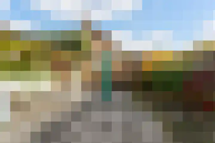 Rembrandtlaan 23 Sprang-Capelle thumbnail 22