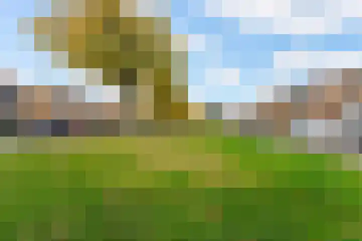 Rembrandtlaan 23 Sprang-Capelle thumbnail 4
