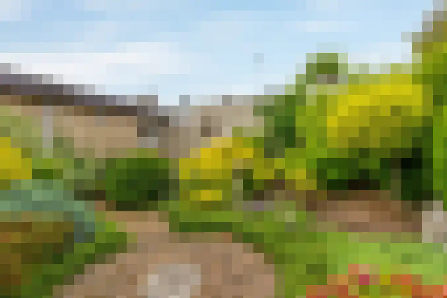 Rembrandtlaan 24 Geleen thumbnail 18