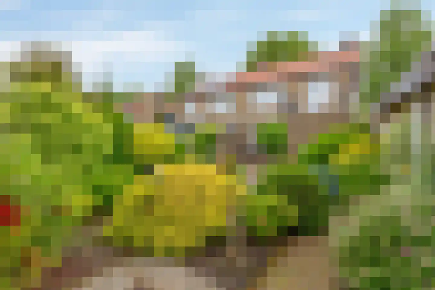 Rembrandtlaan 24 Geleen thumbnail 20