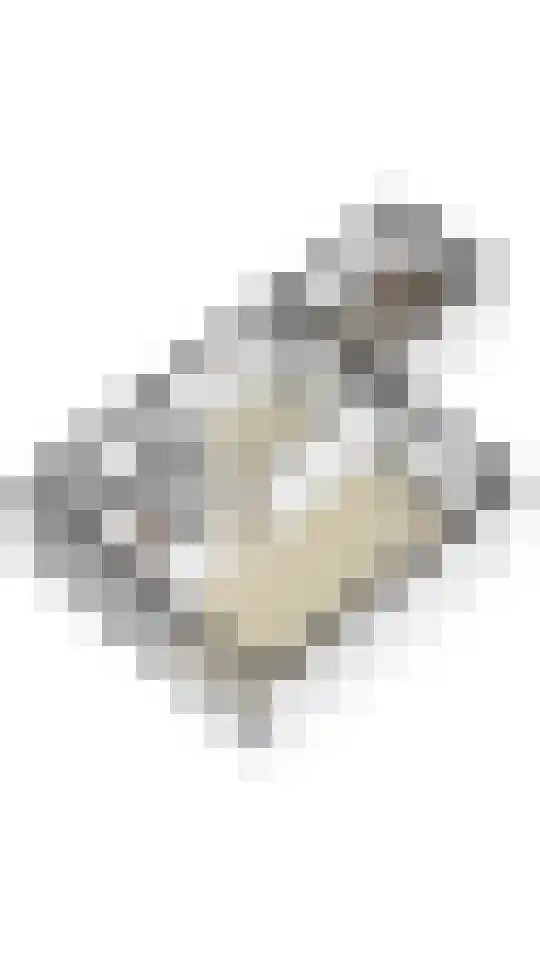 Rembrandtlaan 24 Geleen thumbnail 37