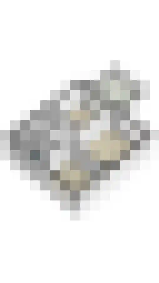 Rembrandtlaan 24 Geleen thumbnail 39