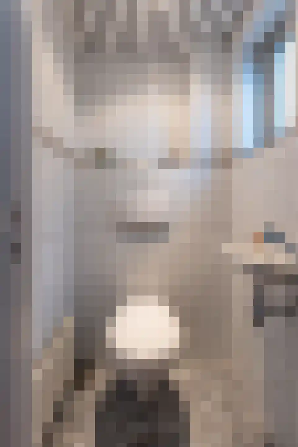 Rembrandtlaan 24 Geleen thumbnail 6