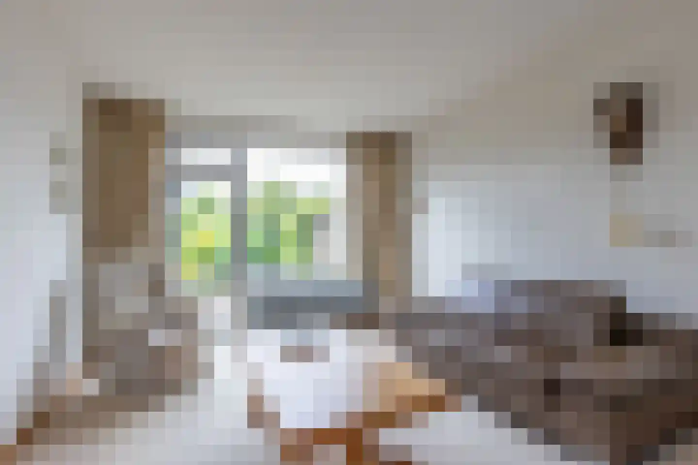 Rembrandtlaan 24 Geleen thumbnail 8