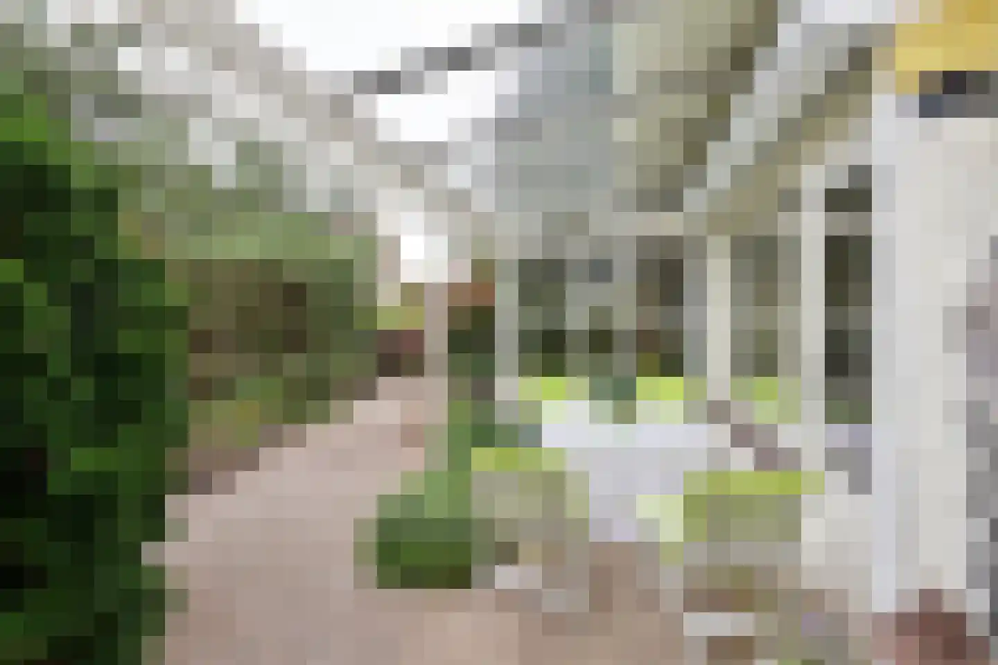 Rembrandtlaan 24 Loosdrecht thumbnail 13