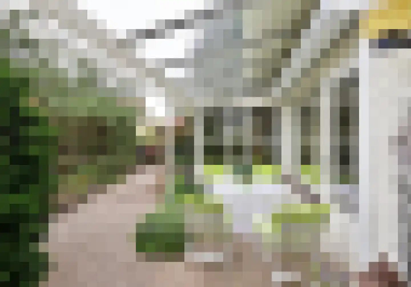 Rembrandtlaan 24 Loosdrecht thumbnail 14
