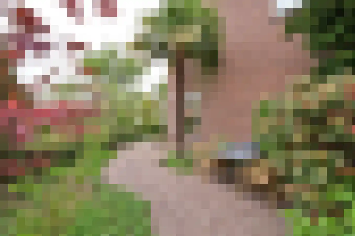 Rembrandtlaan 24 Loosdrecht thumbnail 16