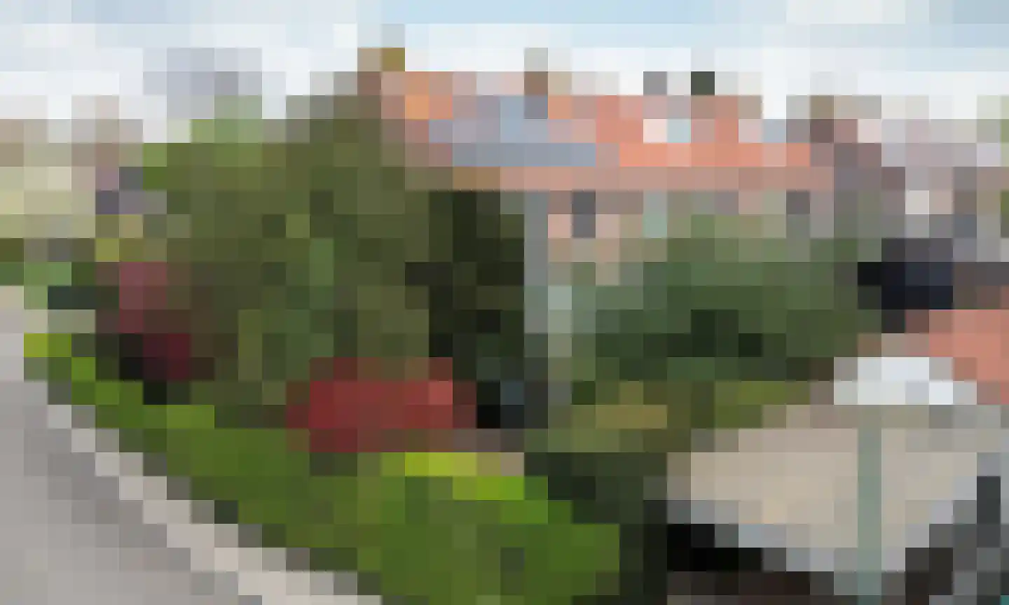 Rembrandtlaan 24 Loosdrecht thumbnail 19