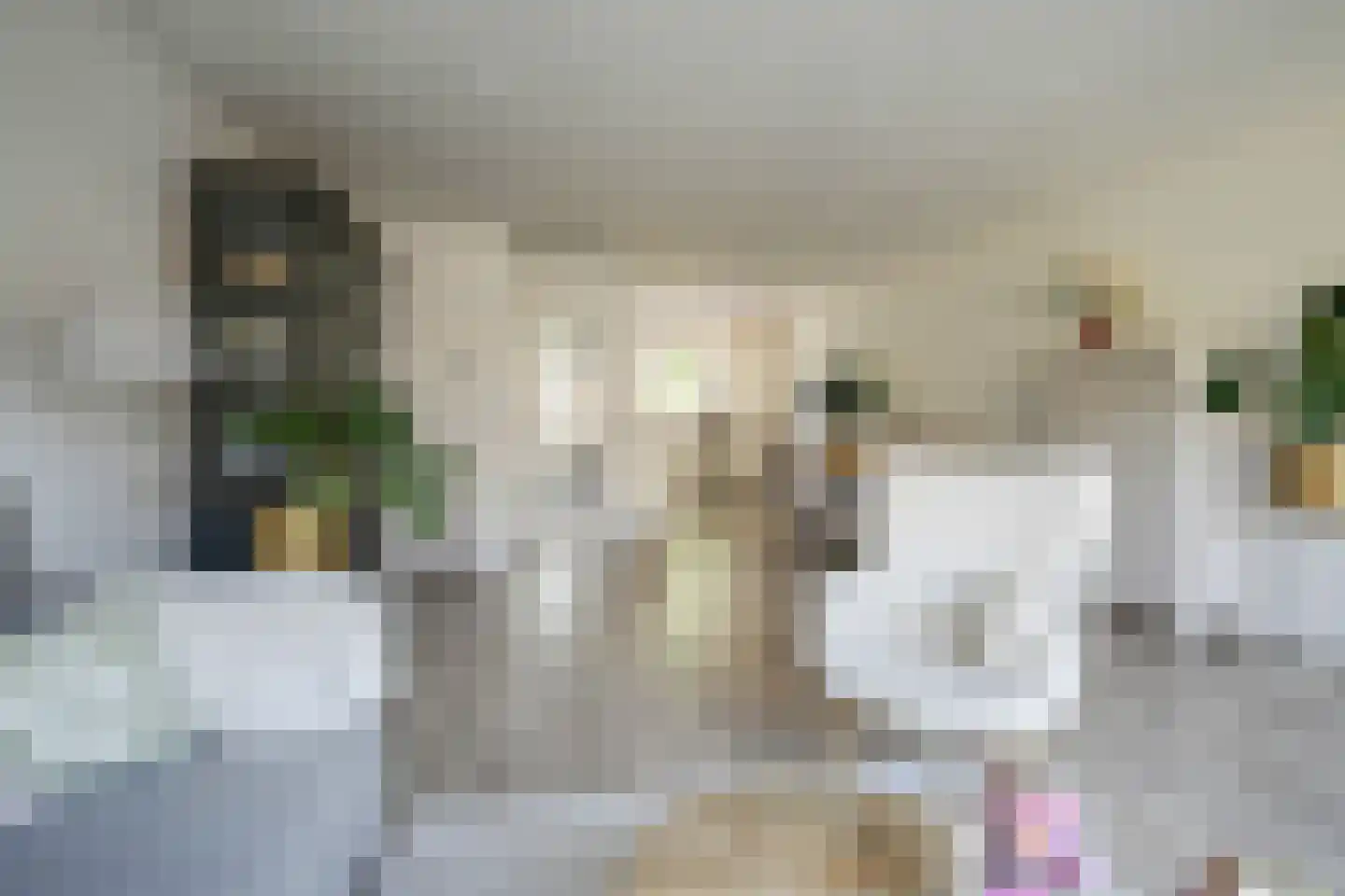 Rembrandtlaan 25 Bergschenhoek thumbnail 16