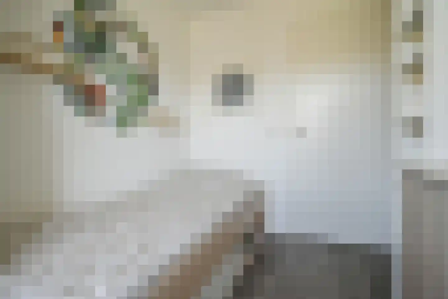 Rembrandtlaan 25 Bergschenhoek thumbnail 26