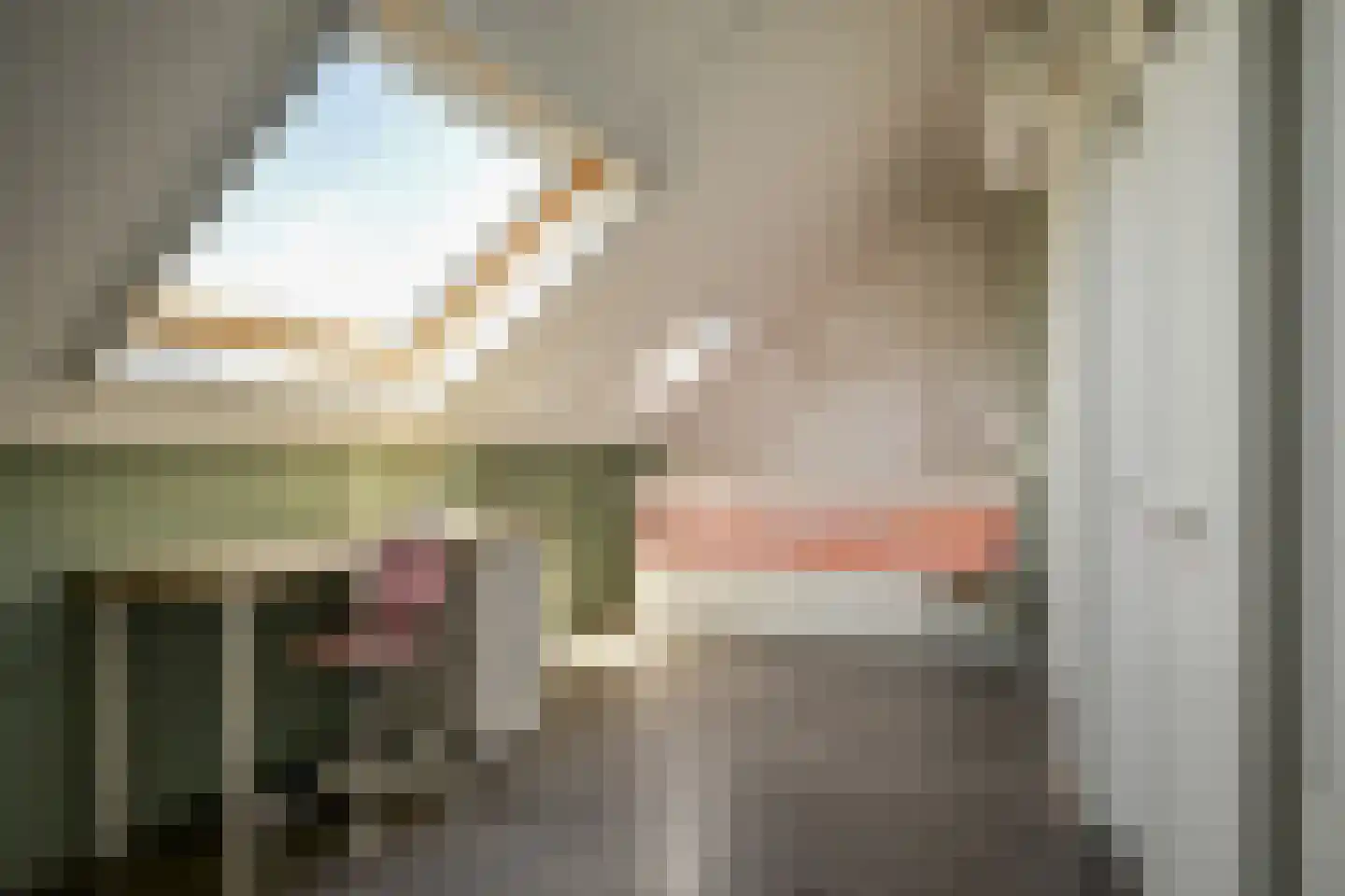 Rembrandtlaan 25 Bergschenhoek thumbnail 36