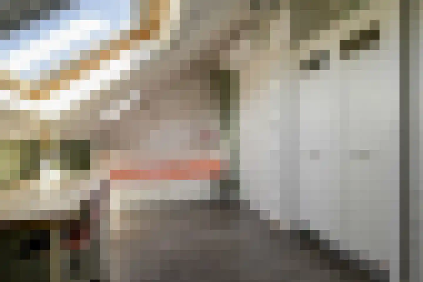 Rembrandtlaan 25 Bergschenhoek thumbnail 37