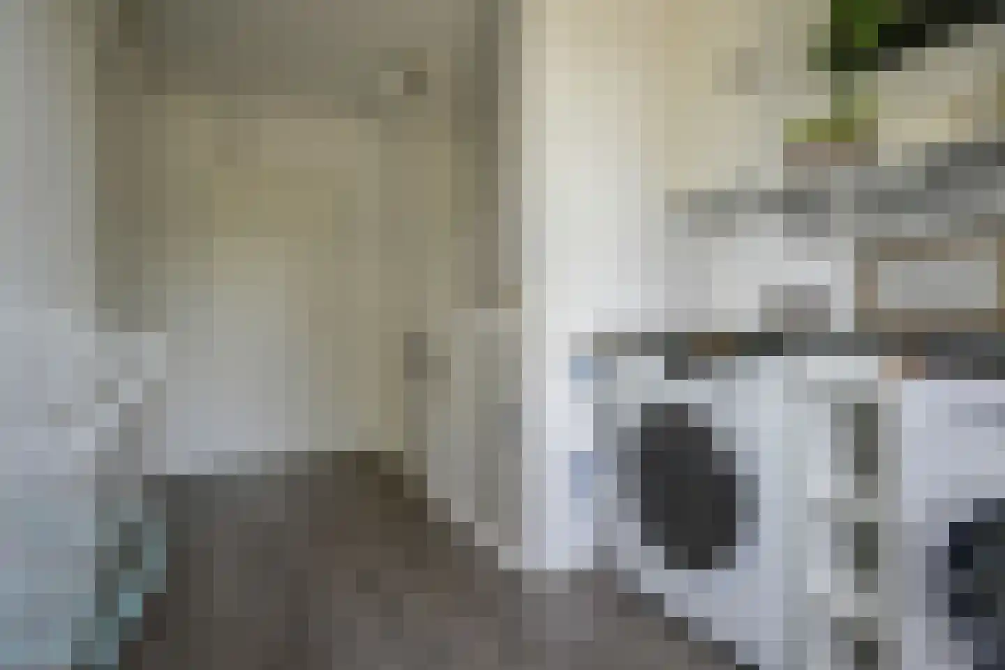 Rembrandtlaan 25 Bergschenhoek thumbnail 39