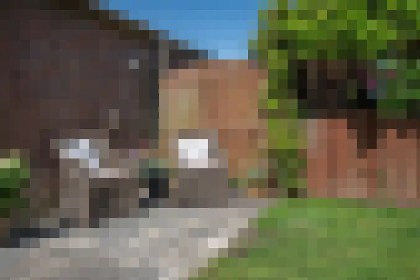 Rembrandtlaan 25 Bergschenhoek thumbnail 41