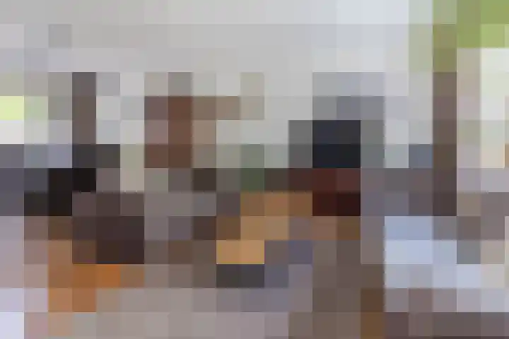 Rembrandtlaan 25 Best thumbnail 10