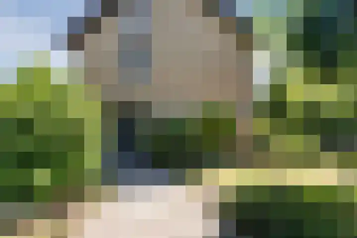 Rembrandtlaan 25 Best foto 2