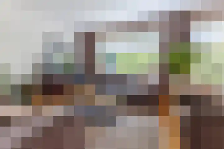 Rembrandtlaan 25 Best foto 3