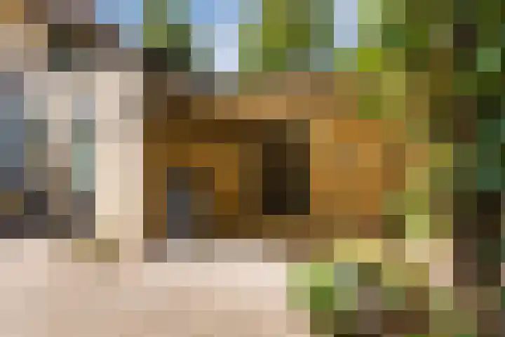 Rembrandtlaan 25 Best thumbnail 31