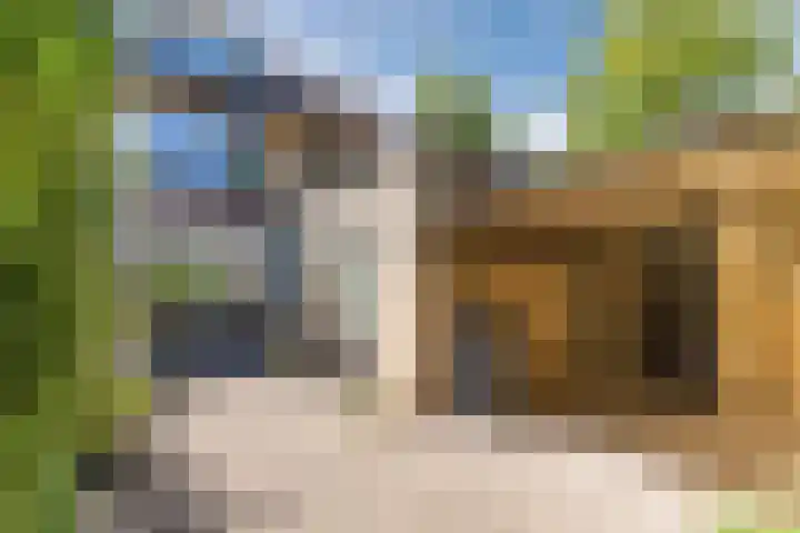 Rembrandtlaan 25 Best thumbnail 32