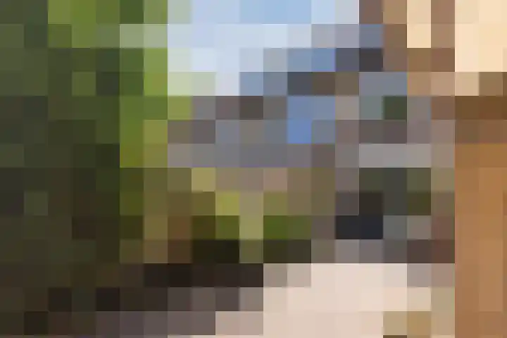 Rembrandtlaan 25 Best thumbnail 33
