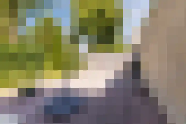 Rembrandtlaan 25 Best thumbnail 36
