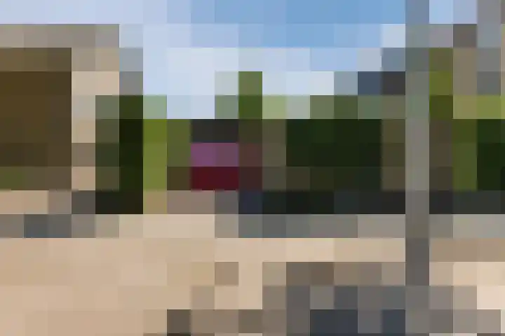 Rembrandtlaan 25 Best thumbnail 37