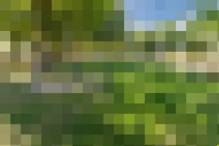 Rembrandtlaan 25 Best thumbnail 40