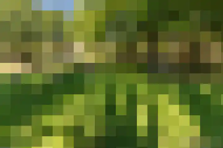Rembrandtlaan 25 Best thumbnail 41