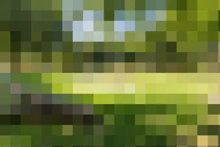 Rembrandtlaan 25 Best thumbnail 42
