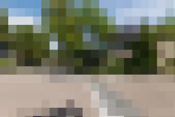 Rembrandtlaan 25 Best thumbnail 47