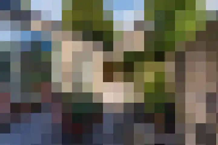 Rembrandtlaan 25 Best thumbnail 5