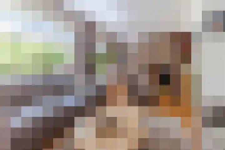 Rembrandtlaan 25 Best thumbnail 8