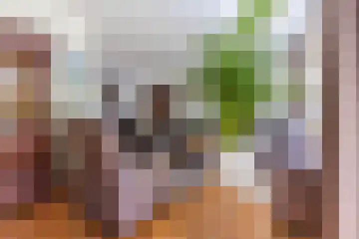 Rembrandtlaan 25 Best thumbnail 9