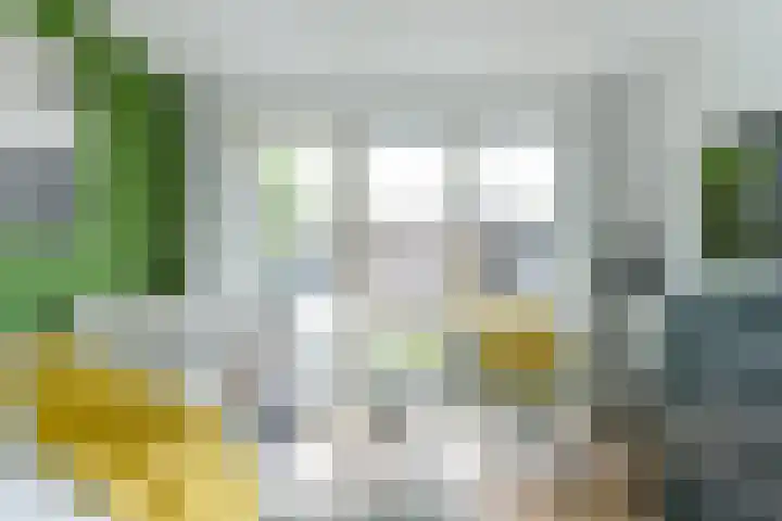 Rembrandtlaan 25 Loosdrecht thumbnail 33