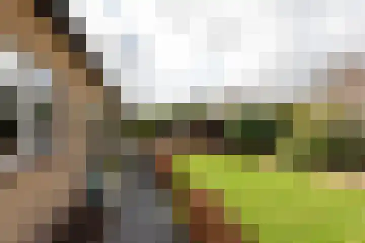 Rembrandtlaan 25 Loosdrecht thumbnail 36