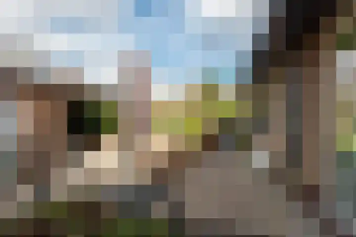 Rembrandtlaan 25 Loosdrecht thumbnail 41