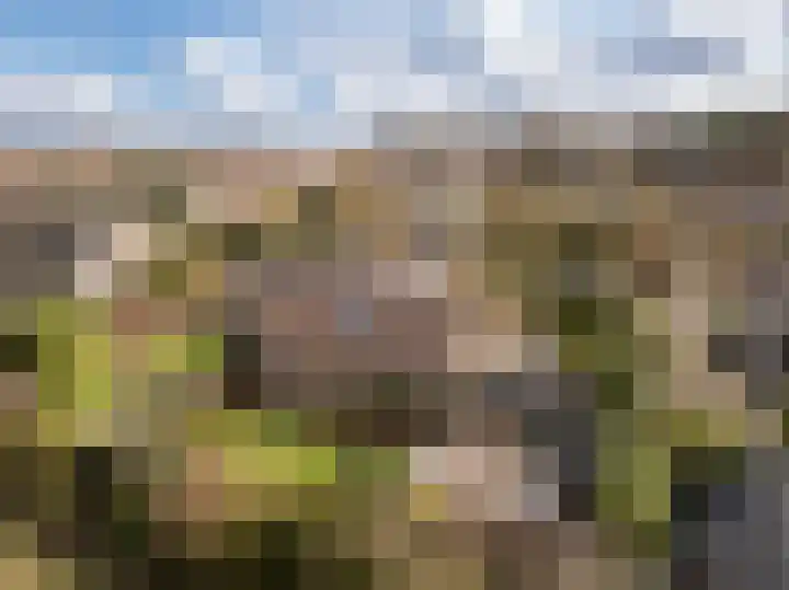 Rembrandtlaan 25 Loosdrecht thumbnail 44