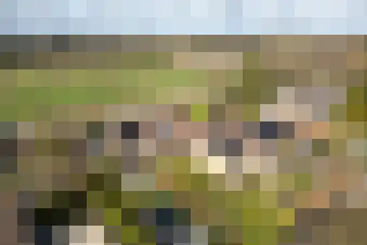 Rembrandtlaan 25 Loosdrecht thumbnail 61