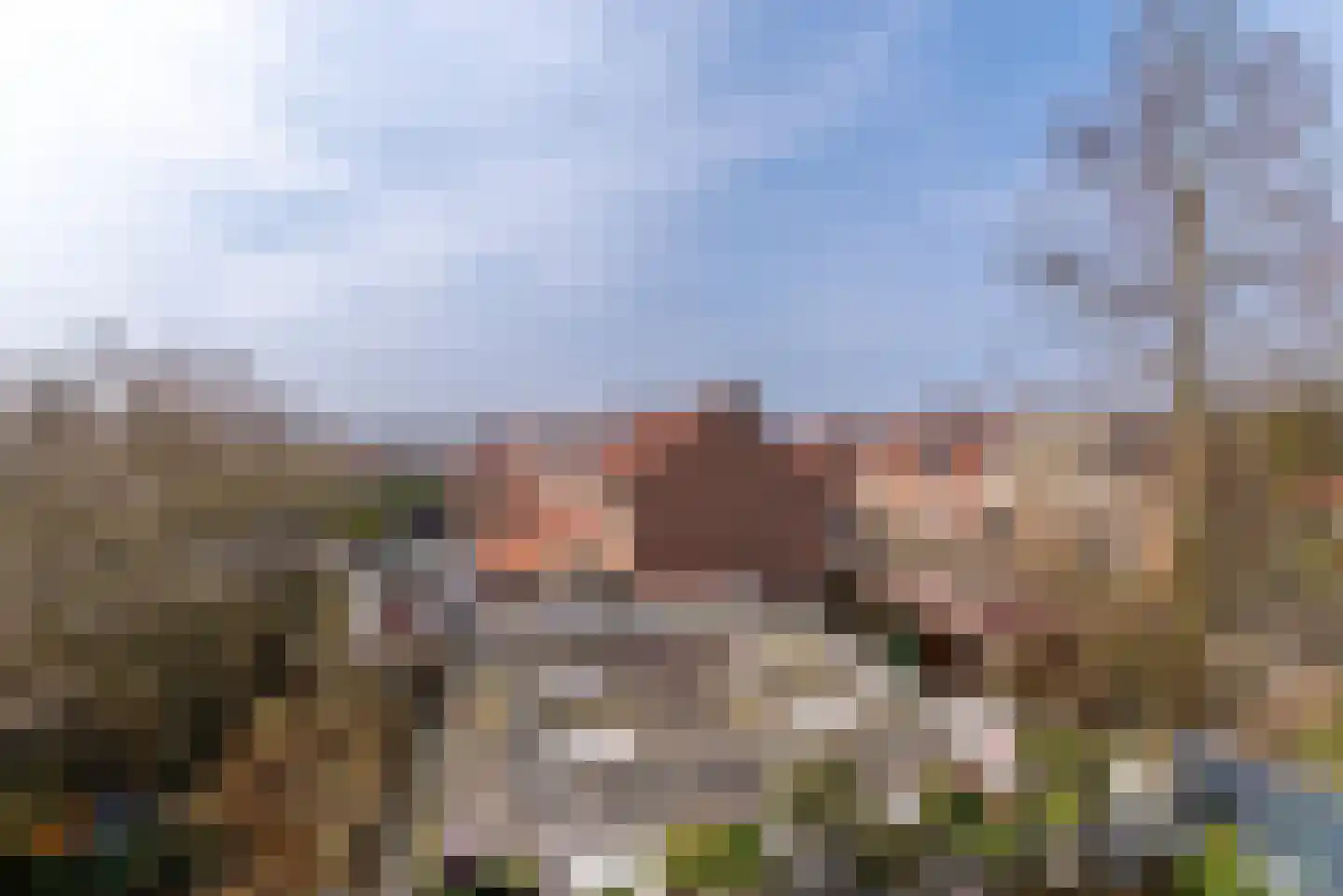 Rembrandtlaan 25 Veenendaal thumbnail 15
