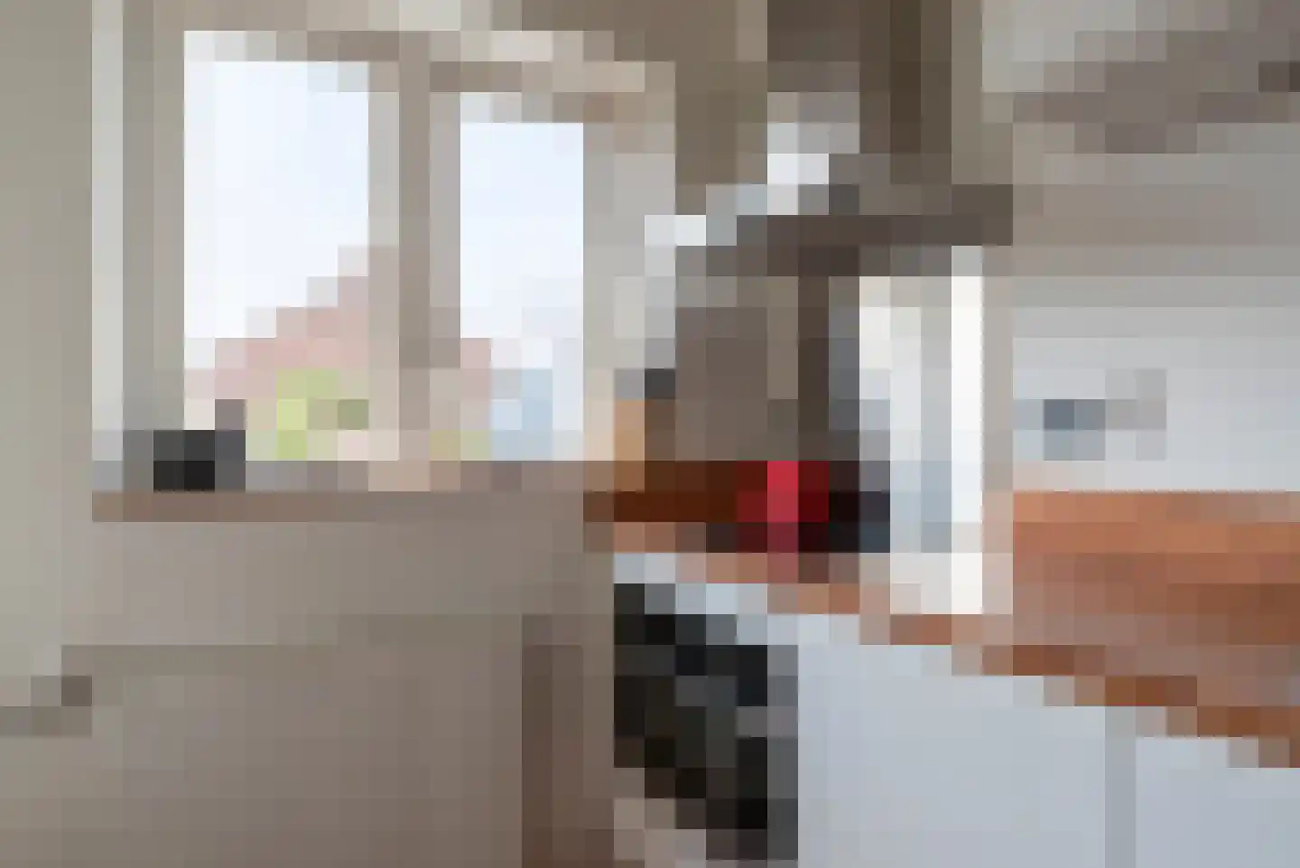 Rembrandtlaan 25 Veenendaal thumbnail 17
