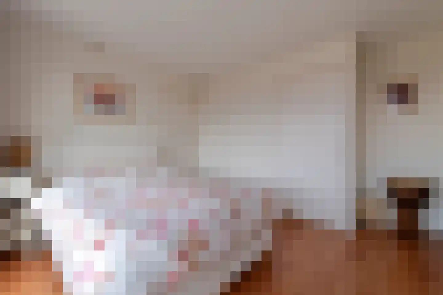 Rembrandtlaan 25 Veenendaal thumbnail 23