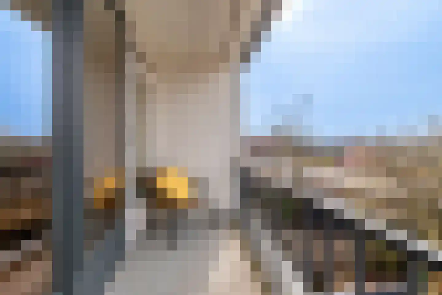Rembrandtlaan 25 Veenendaal thumbnail 25