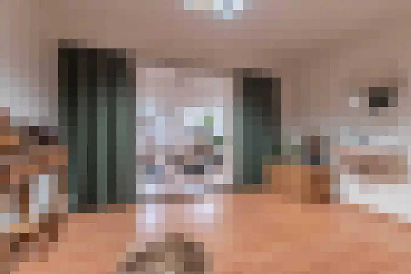 Rembrandtlaan 25 Veenendaal thumbnail 37