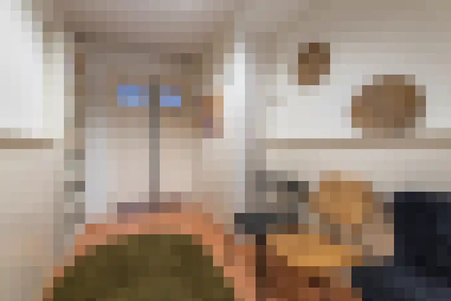 Rembrandtlaan 25 Veenendaal thumbnail 40