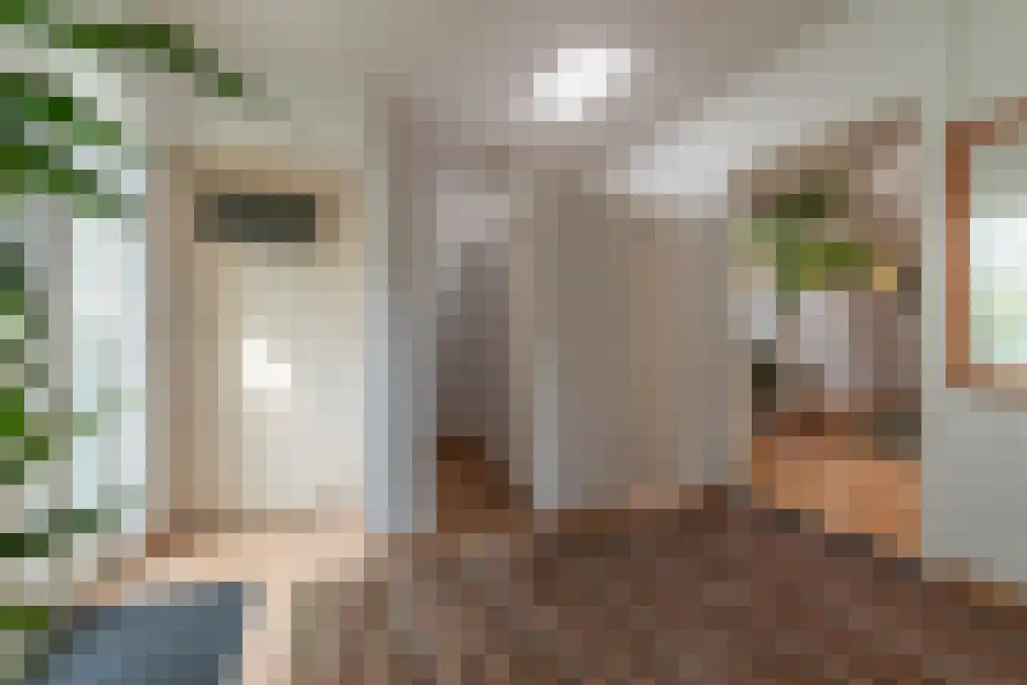Rembrandtlaan 25 Veenendaal thumbnail 43