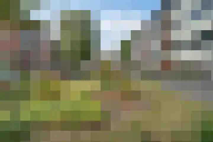 Rembrandtlaan 258 Enschede thumbnail 6