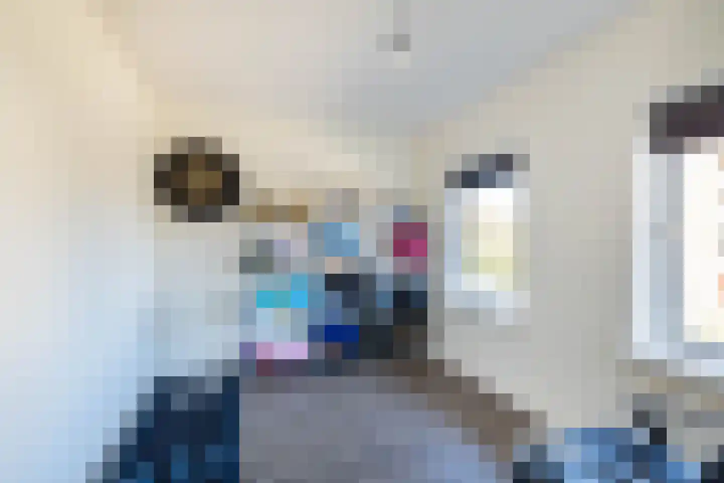 Rembrandtlaan 26 Almelo thumbnail 15