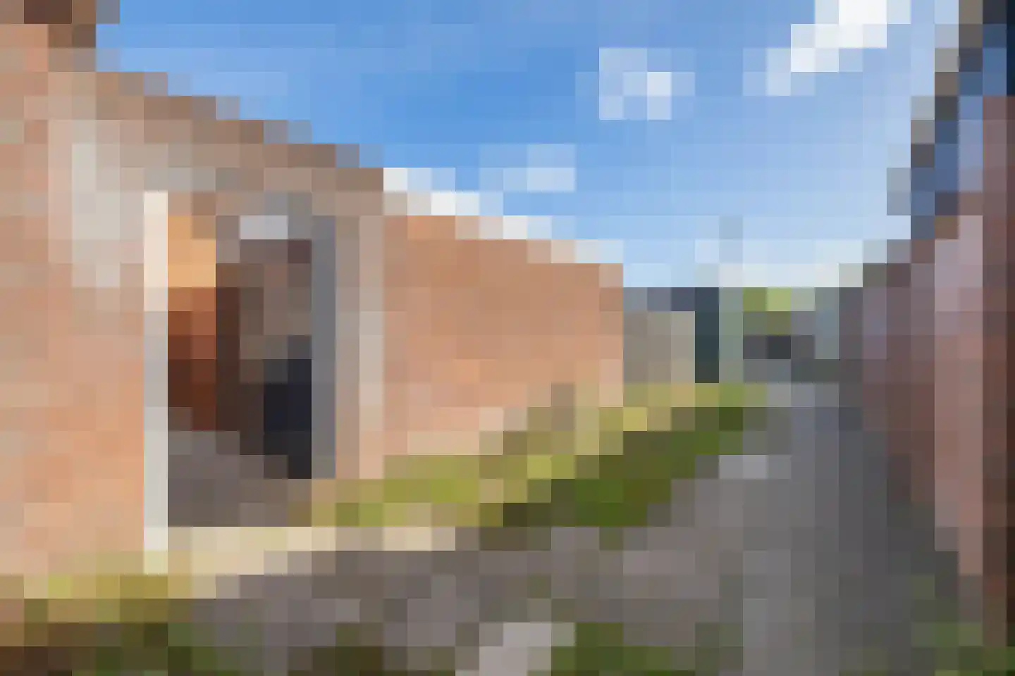 Rembrandtlaan 26 Almelo thumbnail 21